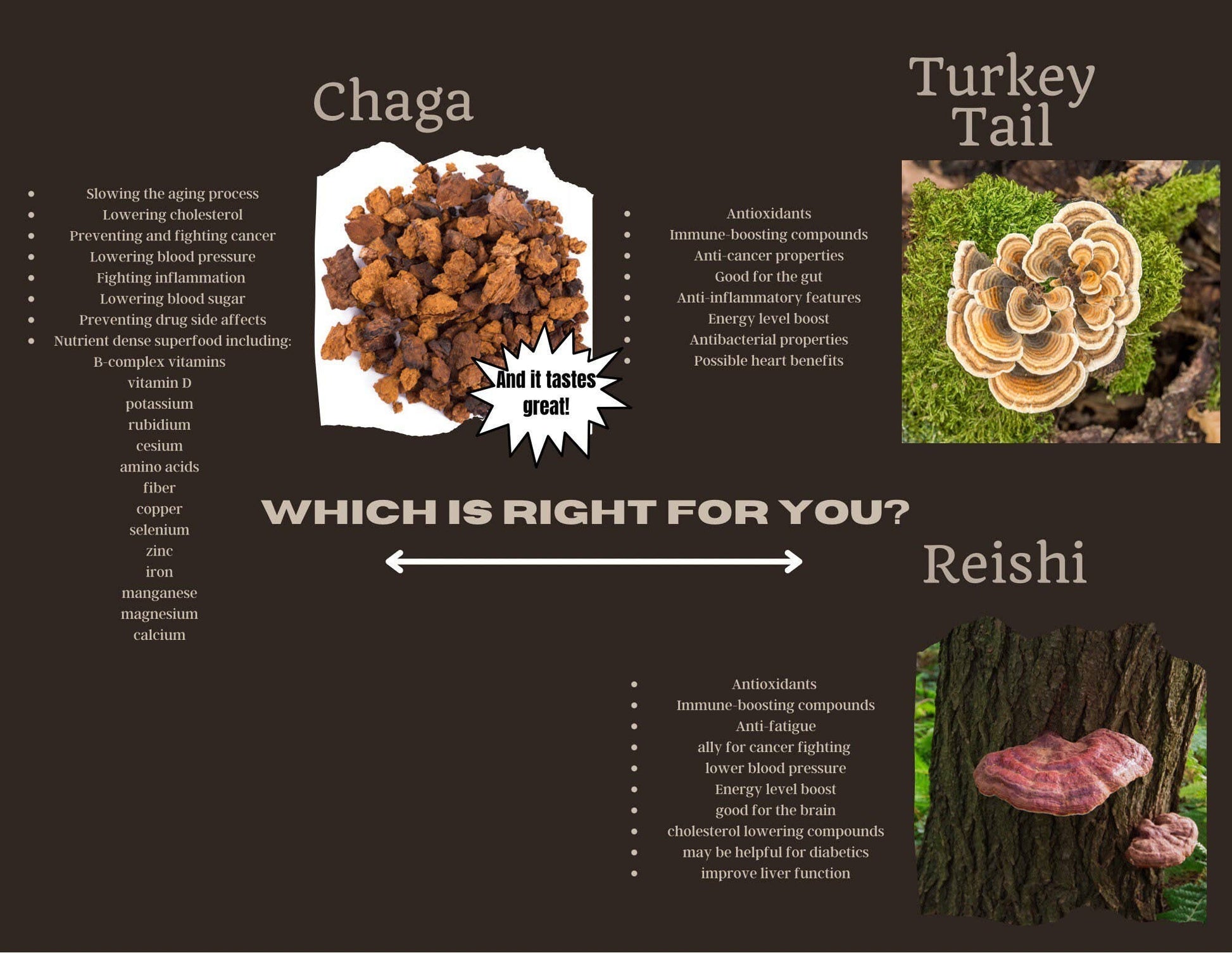 Great Lakes Treats Michigan Wild Harvested Chaga, 15 Convenient Tea Bags